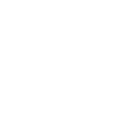 ce logo Port Arthur