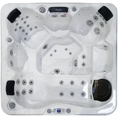 Avalon EC-849L hot tubs for sale in Port Arthur