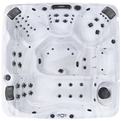 Avalon EC-867L hot tubs for sale in Port Arthur