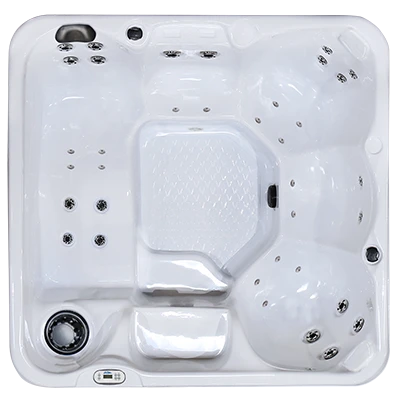 Hawaiian PZ-636L hot tubs for sale in Port Arthur